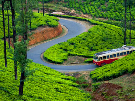 God’s own Country Kerala